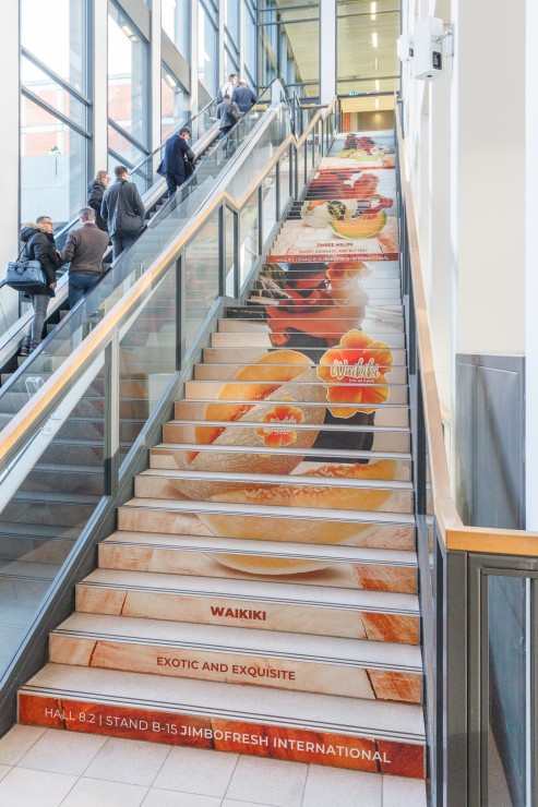 Stair Brandings Entrance Hall South Stair Brandings Entrance Hall South